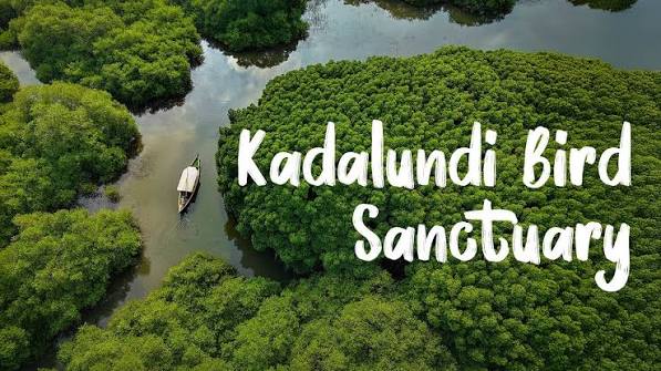 Kadalundi Bird Sanctuary - Kerala